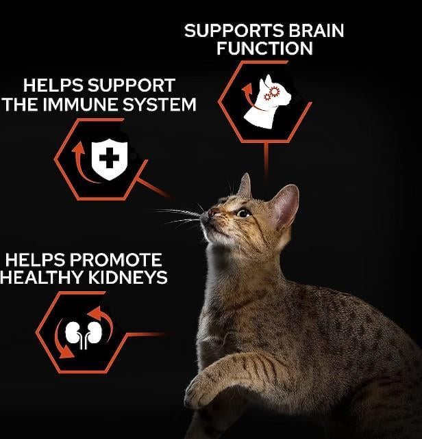 Pro Plan Kısırlaştırılmış Somonlu Yetişkin Kedi Maması 3 Kg