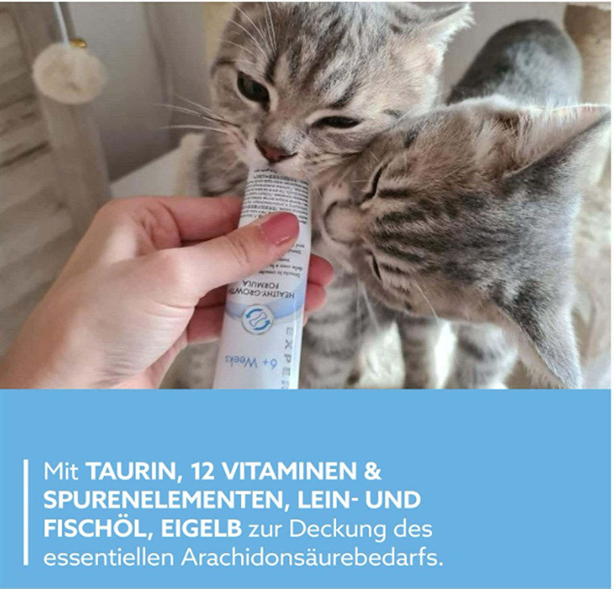 Gimcat Kedi Macunu Kitten Paste 50 Gr