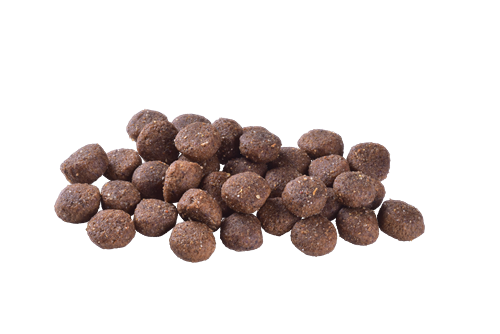 Brit Care Orta Irk Yetişkin Köpekler İçin, Tek Proteinli, Hipoalerjenik, Kuzu Etli Kuru Mama 3 kg