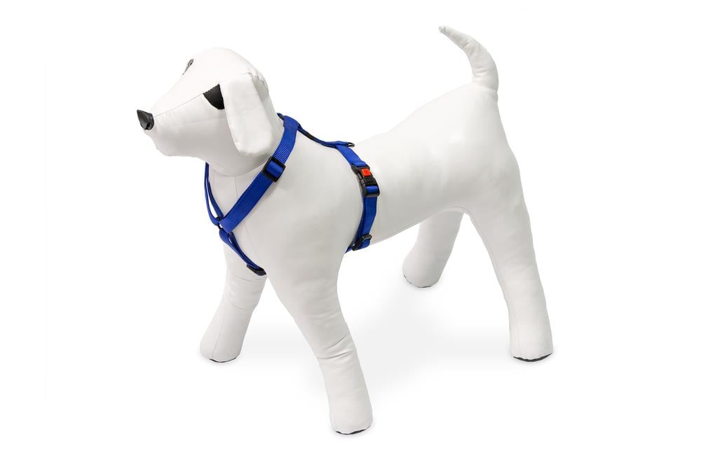 Karlıe Köpek Göğüs Tasması L Mavi 65-100x2,5
