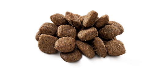 Brit Premium By Nature Hassas Sindirime Sahip Köpekler İçin, Kuzu Etli Kuru Mama 15 kg