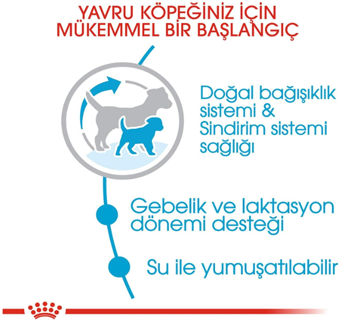 Royal Canin Mini Starter Yavru&Anne Köpek Maması 3 Kg
