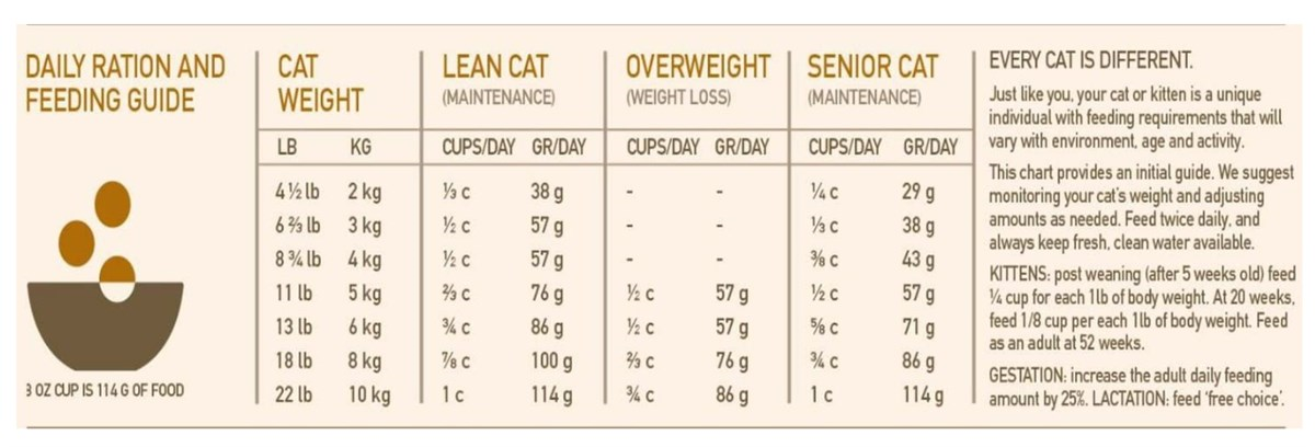 Orijen Cat Kitten Yavru Kedi Maması 5,4 Kg