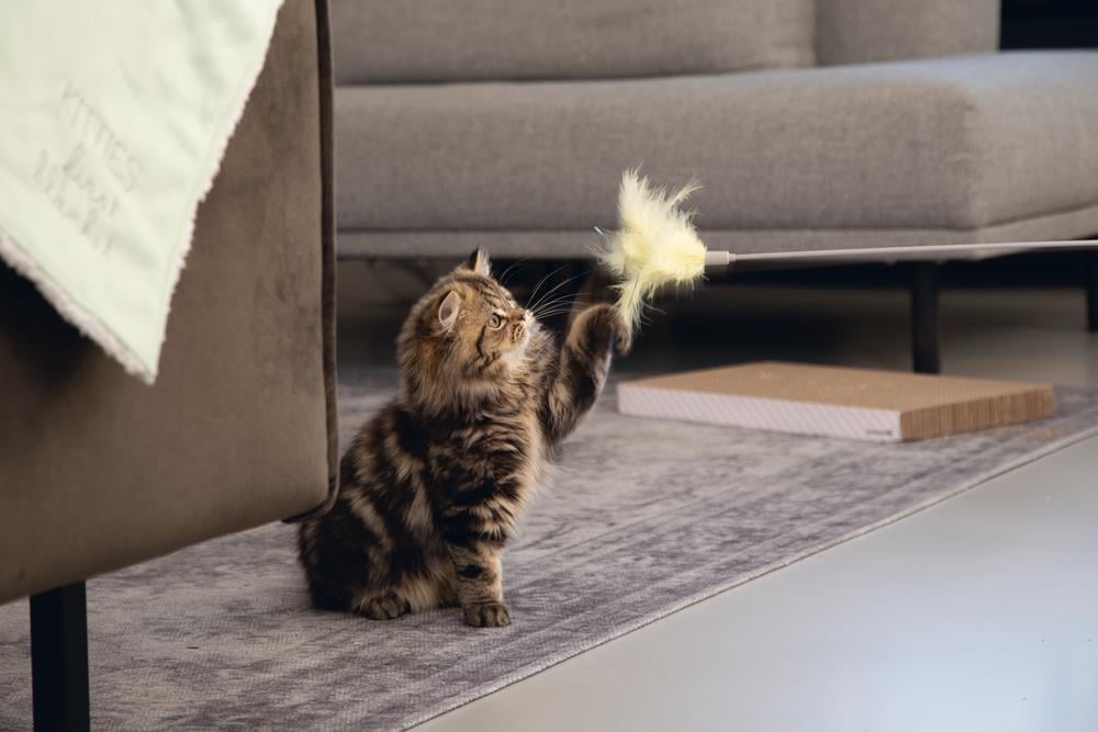 Beeztees Kedi Oltası, Tüylü, 45cm