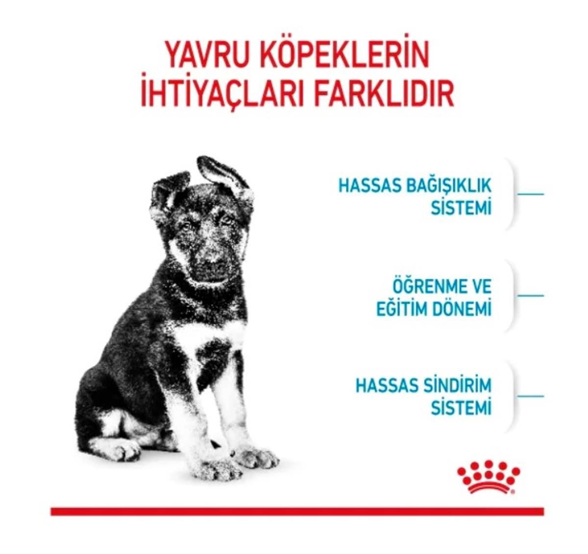 Royal Canin Maxi Junior Büyük Irk Yavru Kuru Köpek Maması 10 Kg