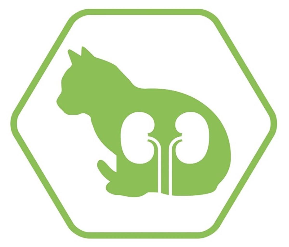 Pro Plan Kısırlaştırılmış Somonlu Yetişkin Kedi Maması 1,5 Kg