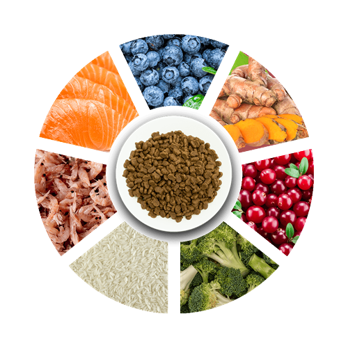 Prochoice Yetişkin Hassas Köpekler İçin, Hipoalerjenik, Balıklı Ve Pirinçli Kuru Mama 12 kg