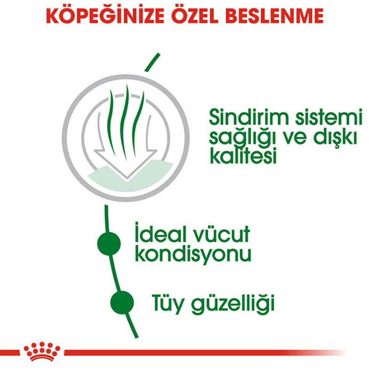 Royal Canin Mini İndoor Adult Köpek Maması 1,5 Kg