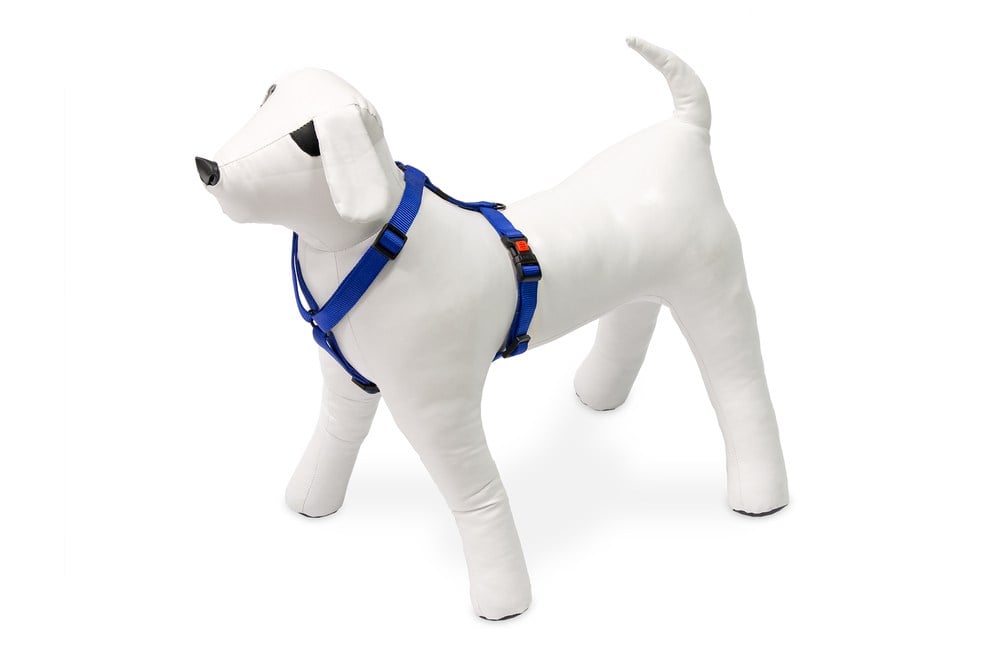 Karlıe Köpek Göğüs Tasması L Mavi 65-100x2,5