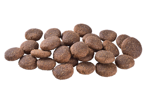 Brit Care Deri Ve Tüy Hassasiyeti Olan, Büyük Irk Yetişkin Köpekler İçin, Tahılsız, Somonlu Kuru Mama 12 kg