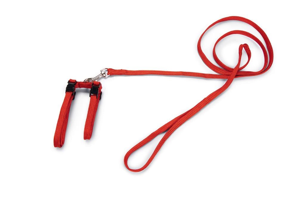 Beeztees Kedi Göğüs Tasması ve Gezdirme Kayışı, 130cm, Kırmızı