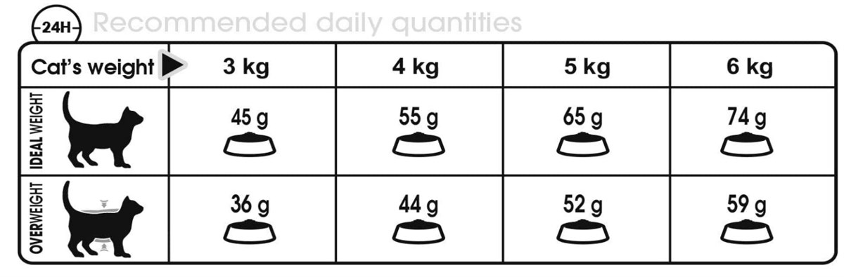 Royal Canin Hairball Uzun Tüylü Yetişkin Kuru Kedi Maması 2 Kg