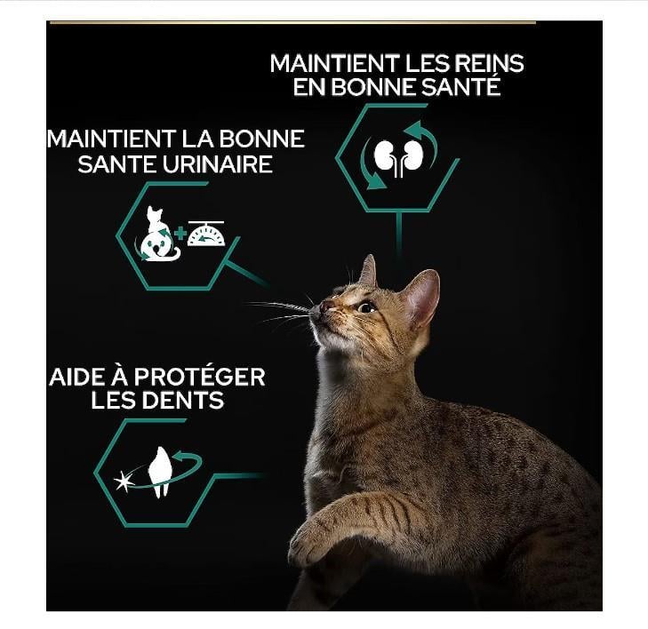 Pro Plan Sterilised Tavuklu Ve Hindili Kuru Kedi Maması 3 Kg