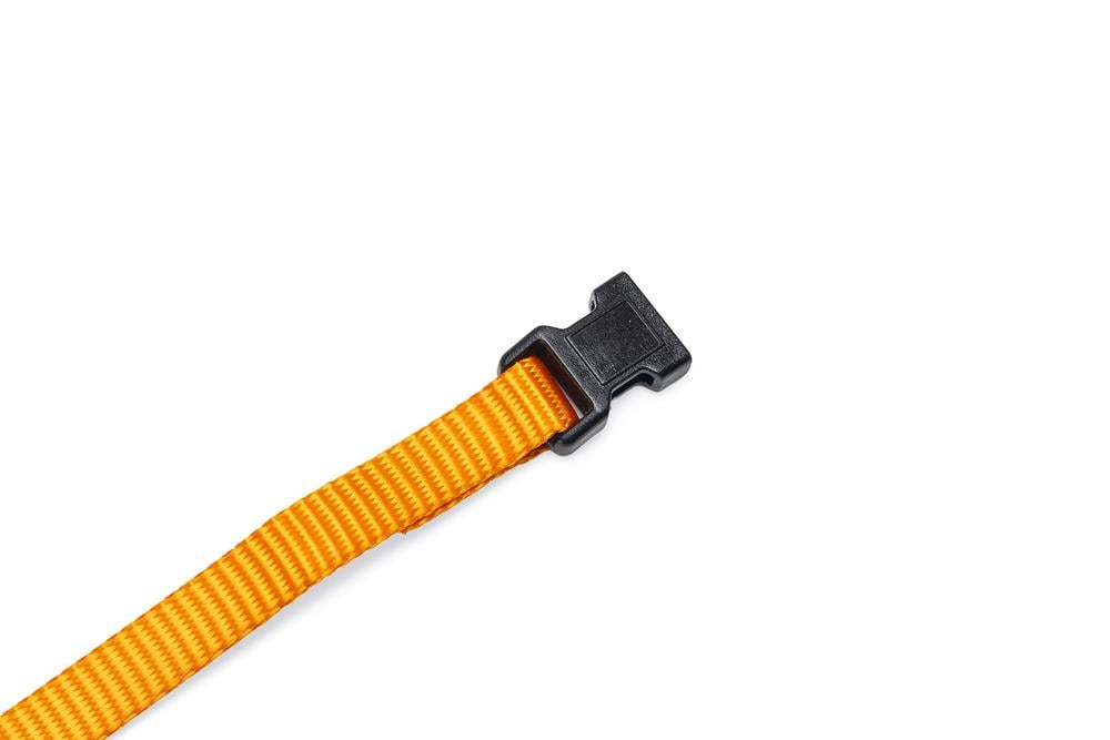 Beeztees Yavru Köpek Boyun Tasması, Çeşitli Renklerde, 17-25cm, 10mm