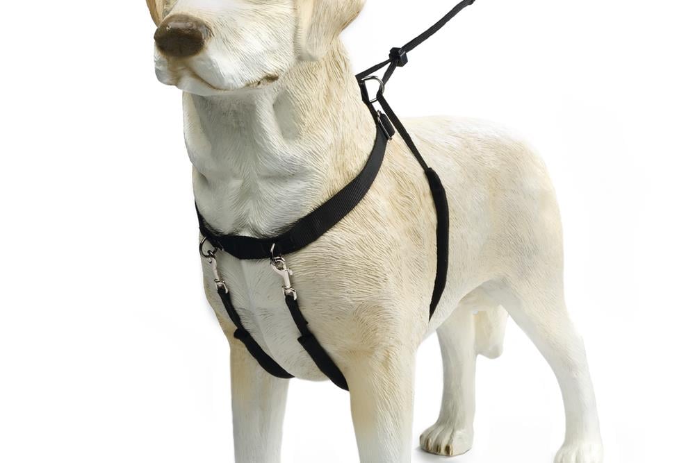 Beeztees Köpek Yürüyüş Eğitim ve Düzeltme Tasması, M