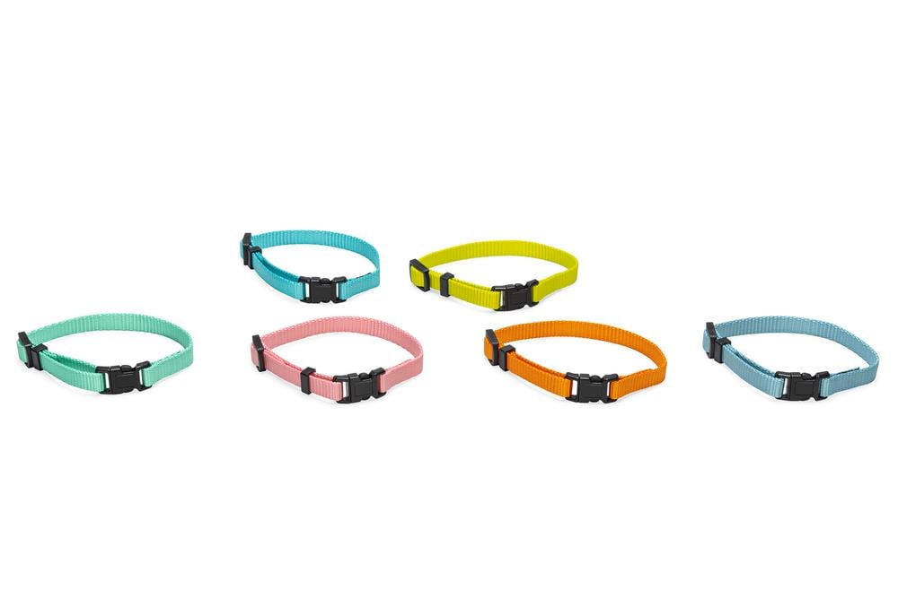 Beeztees Yavru Köpek Boyun Tasması, Çeşitli Renklerde, 17-25cm, 10mm