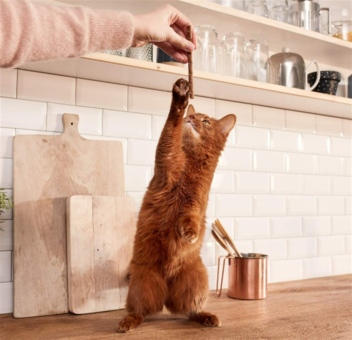 Gimcat Stick Hindili Tavşanlı Kedi Ödül Çubukları 4 lü 20 Gr