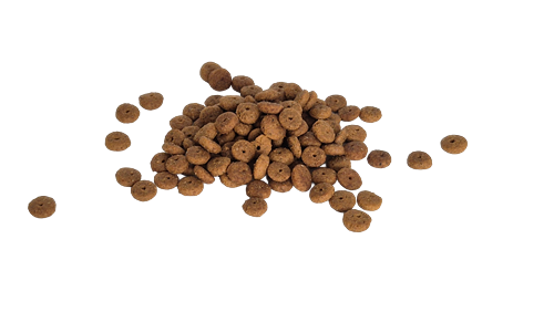 Bestpet Yetişkin Kısırlaştırılmış Kediler İçin Somonlu Kuru Mama 1 kg