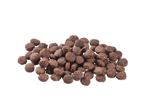 Brit Care Yavru Köpekler İçin Tek Proteinli, Hipoalerjenik, Kuzu Etli Kuru Mama 3 kg