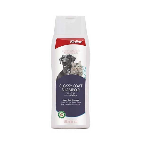 Bioline Yağlı Tüylü Kedi ve Köpek Şampuanı 250 Ml