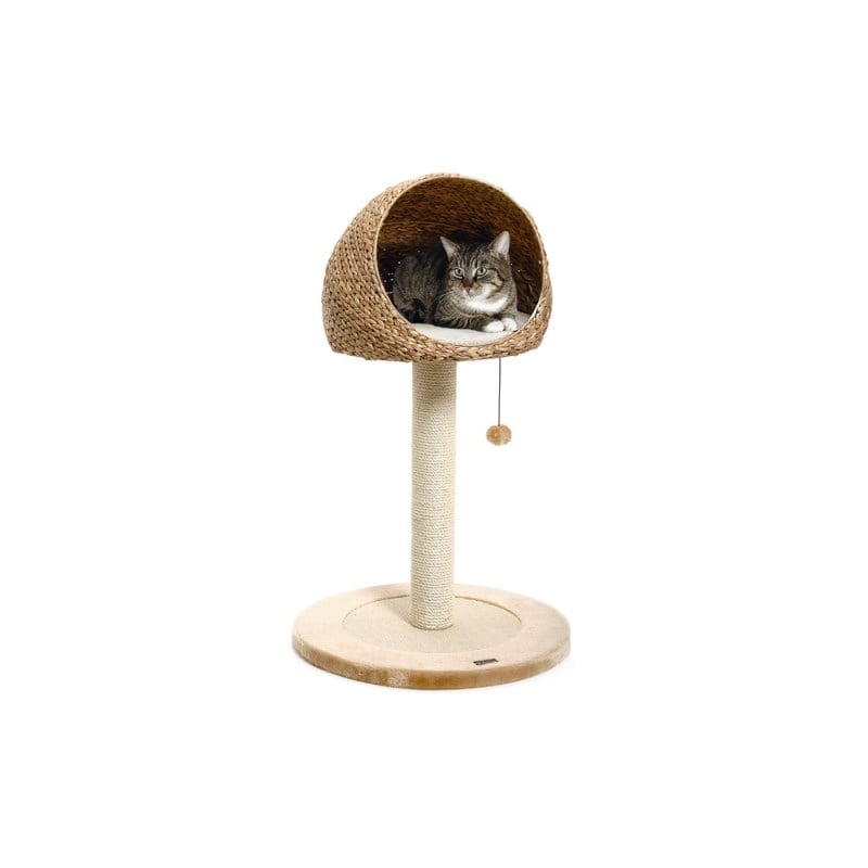 Karlıe Kedi Tırmalama Muz Yaprağı Iı 56x93cm