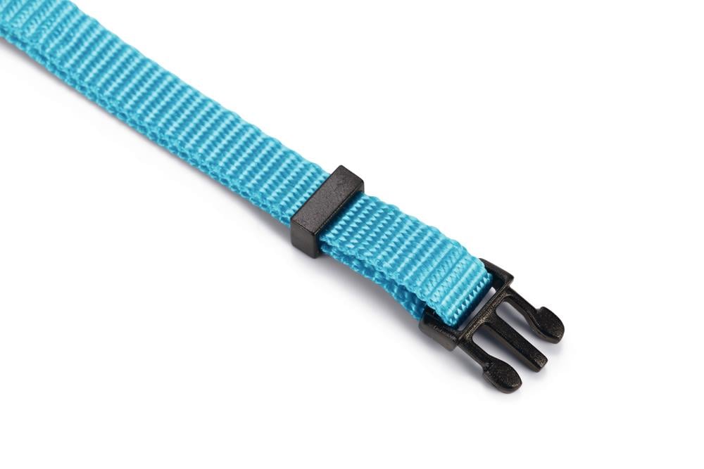Beeztees Kedi Boyun Tasması, Zilli, Turkuaz, 20-30cm