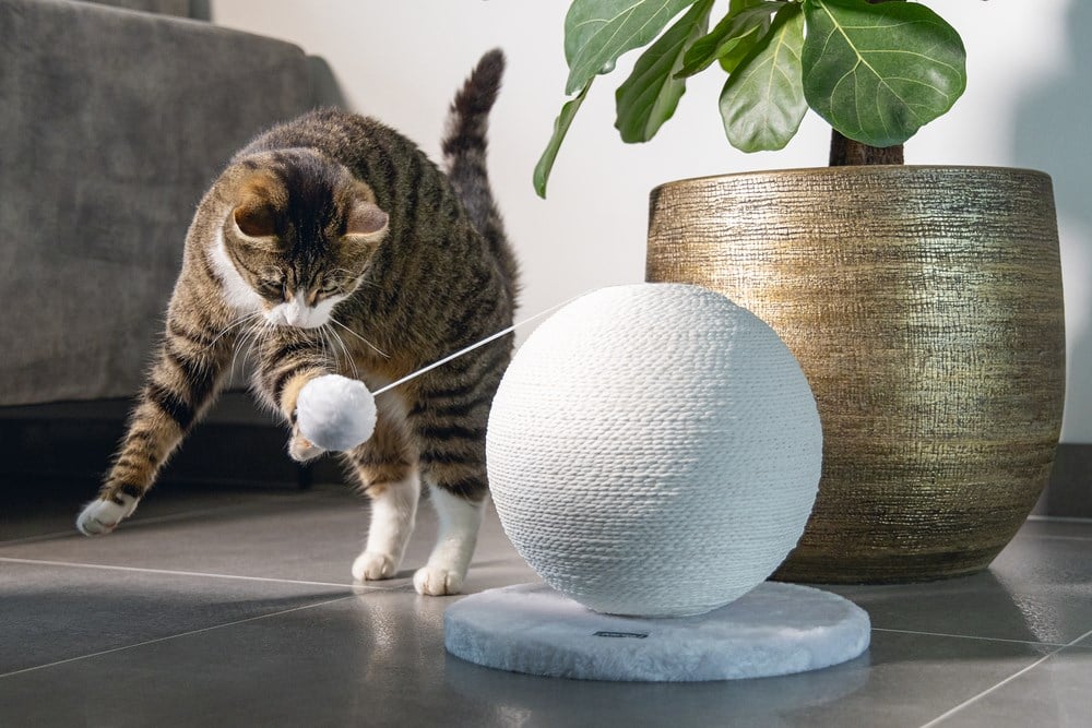 Karlıe Kedi Tırmalama Küresi Bolly Beyaz 30.5cm