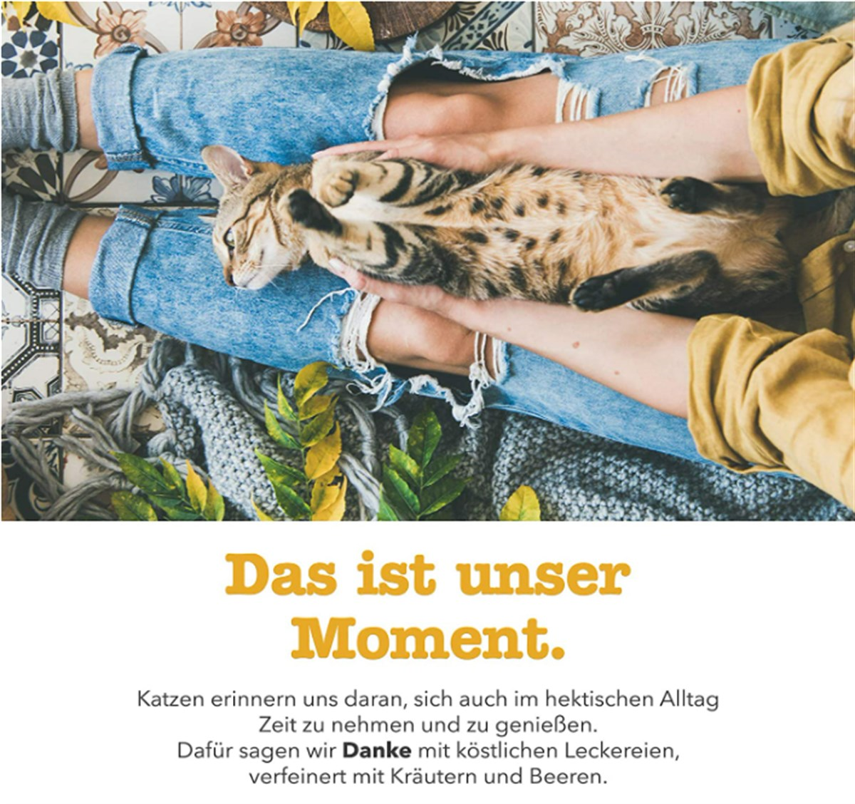 Gimcat Soft Snacks Salmon & Parsley Tahılsız Kedi Ödülü 60 Gr