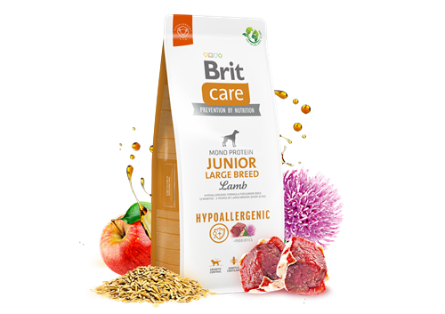 Brit Care Büyük Irk Genç Köpekler İçin, Tek Proteinli, Hipoalerjenik, Kuzu Etli Kuru Mama 12 kg
