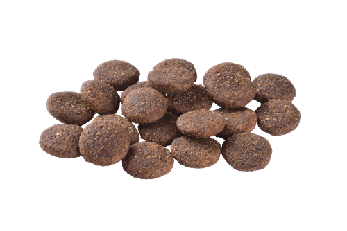 Brit Care Yetişkin Köpekler İçin, Tek Proteinli, Hipoalerjenik, Kuzu Etli Kuru Mama 12 kg