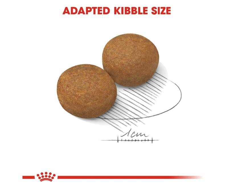 Royal Canin Maxi Adult Kuru Köpek Maması 15 Kg