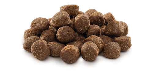 Brit Premium By Nature Orta Irk Yetişkin Köpekler İçin, Tavuk Etli Kuru Mama 15 kg