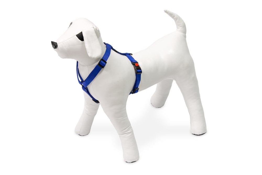Karlıe Köpek Göğüs Tasması L Mavi 65-100x2,5