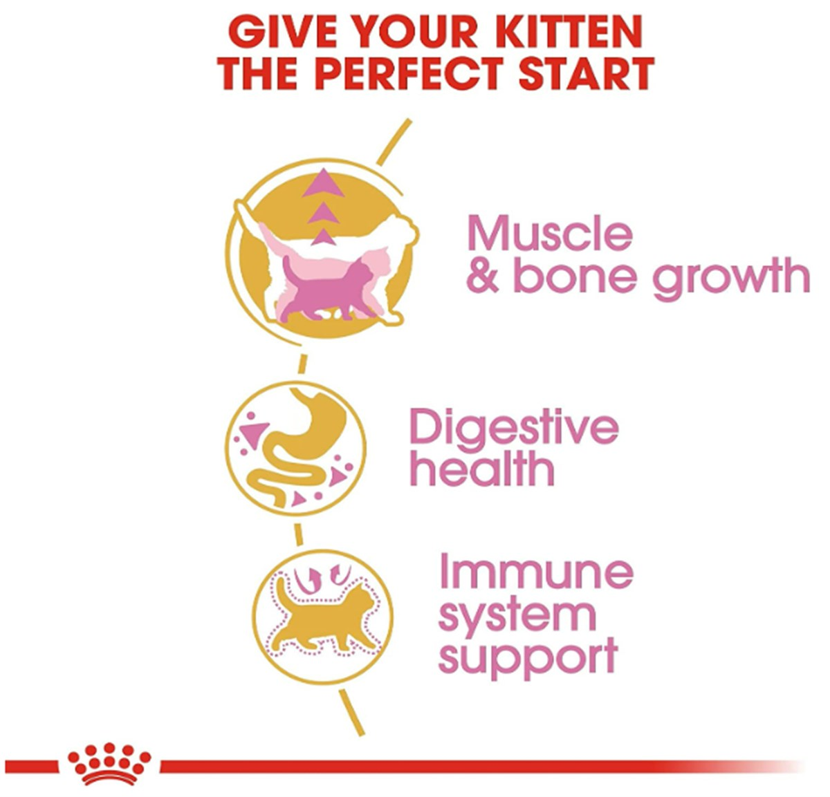 Royal Canin Kitten British Shorthair Yavru Kedi Maması 2 Kg