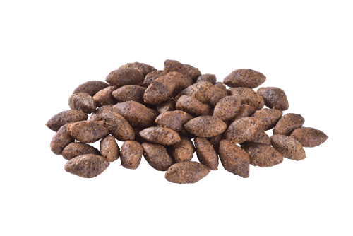 Brit Care Gıda İntoleransı Ve Deri Hassasiyet Problemi Olan Köpekler İçin, Larva Ve Balık Etli Kuru Mama 12 kg