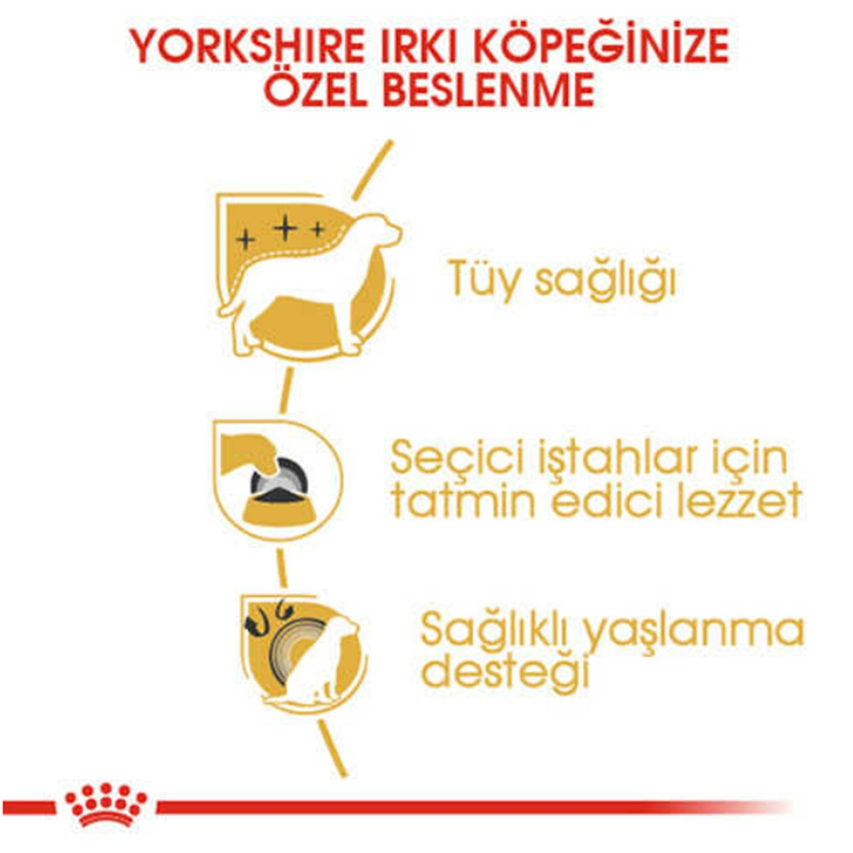 Royal Canin Yorkshire Terrier Yetişkin Köpek 1,5 Kg