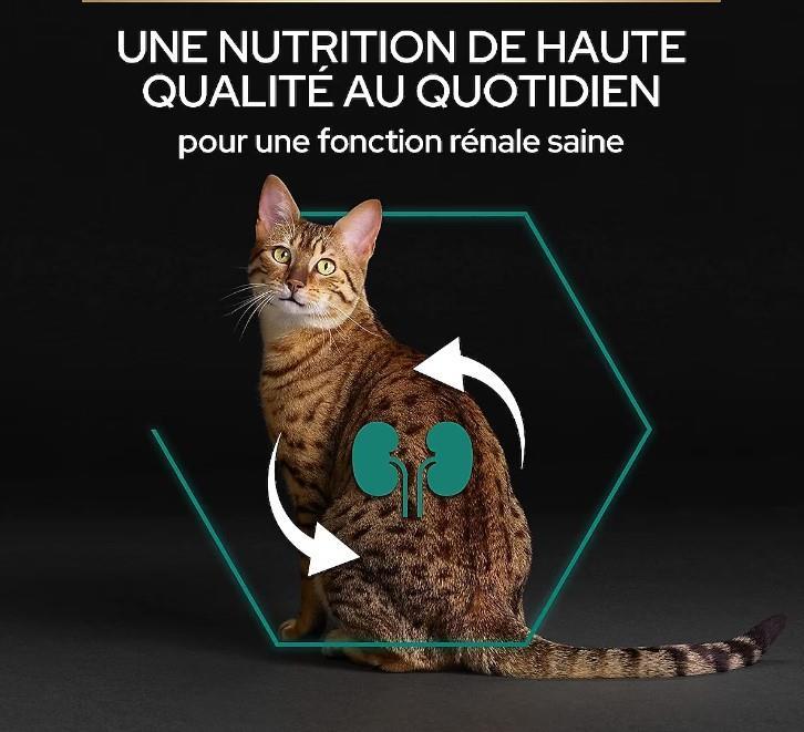 Pro Plan Adult Tavuklu Pirinçli Yetişkin Kuru Kedi Maması 10 Kg