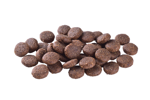 Brit Care Büyük Irk Genç Köpekler İçin, Tek Proteinli, Hipoalerjenik, Kuzu Etli Kuru Mama 12 kg