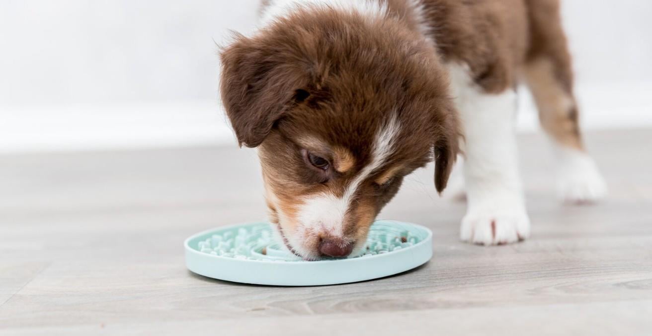 Trixie Yavru Köpek Oyuncağı Yalama Tabağı TPR 15cm