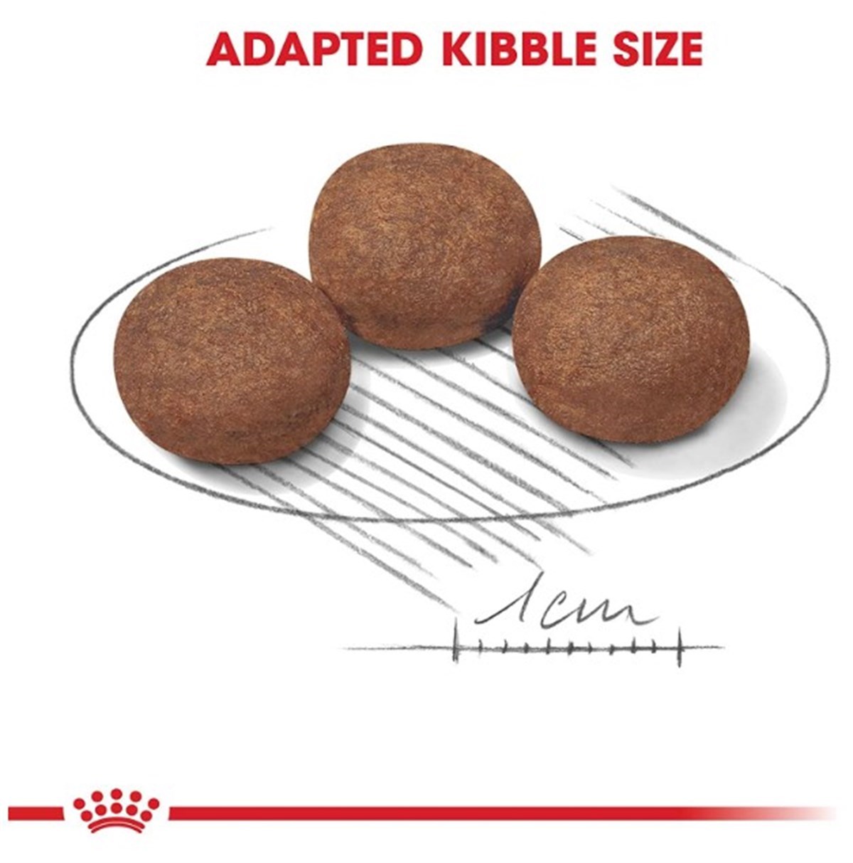 Royal Canin Medium Junior Orta Irk Yavru Kuru Köpek Maması 4 Kg