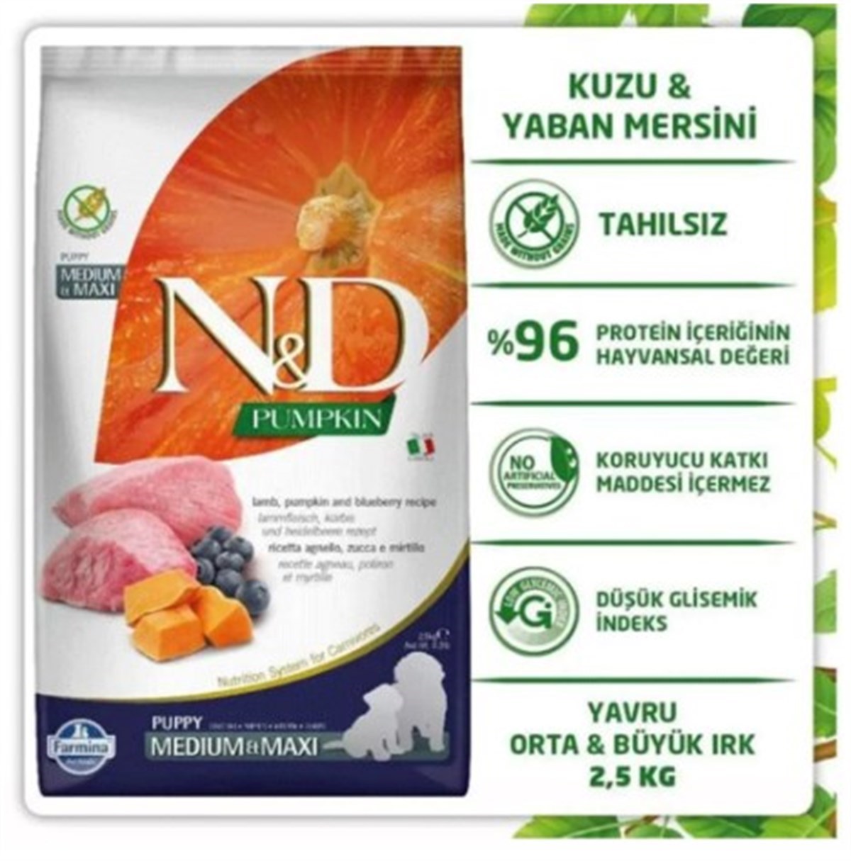 N&D Pumpkin Kuzu&Yaban Mersini Orta Büyük Irk Yavru Köpek 2,5 Kg