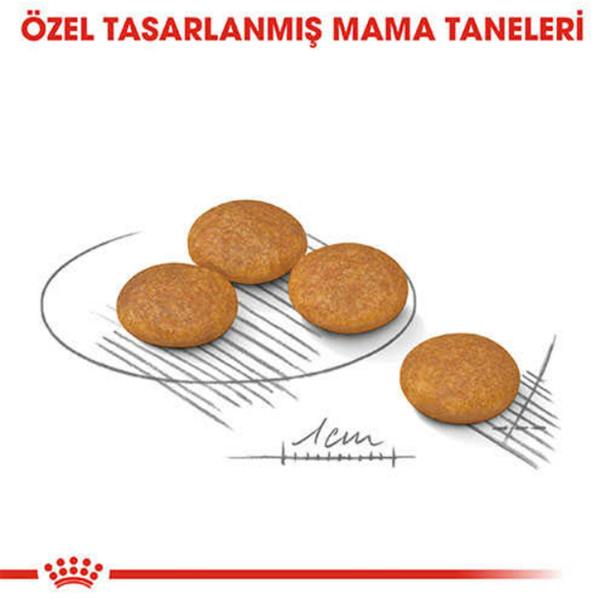 Royal Canin Ccn Mini Derma Yetişkin Köpek Maması 3 Kg