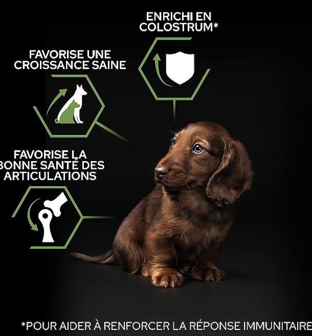 Pro Plan Small & Mini Somonlu Küçük Irk Köpek Maması 3 Kg