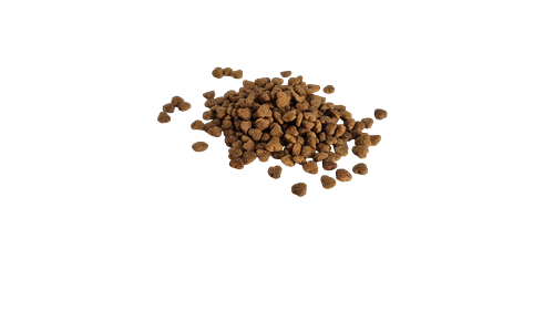 Bestpet Yetişkin Seçici Kediler İçin Tavuk Etli Kuru Mama 1 kg