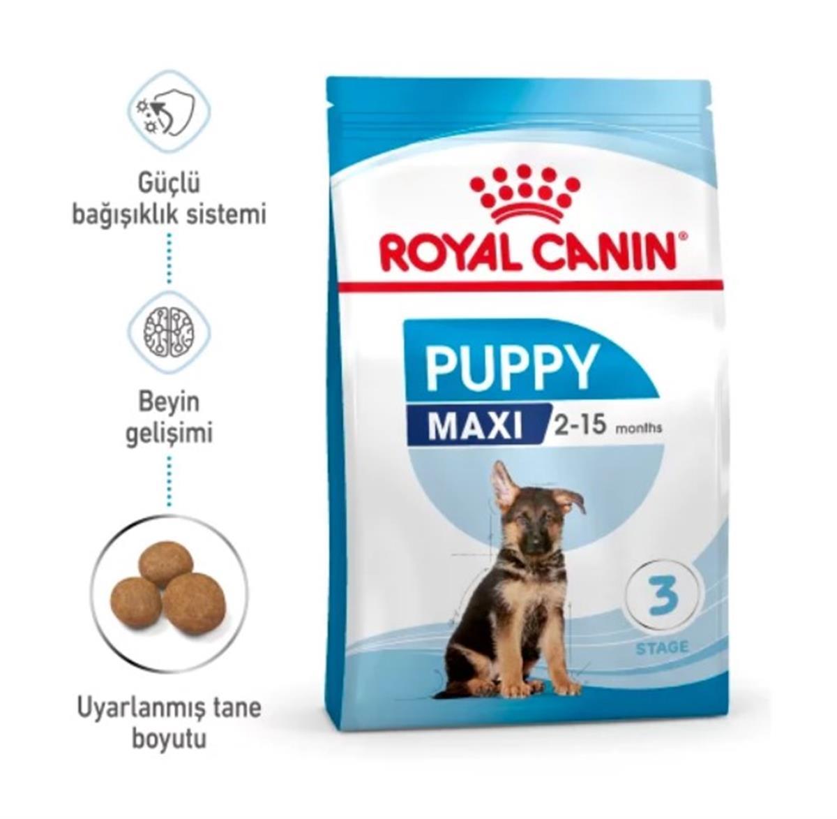Royal Canin Maxi Junior Büyük Irk Yavru Kuru Köpek Maması 10 Kg
