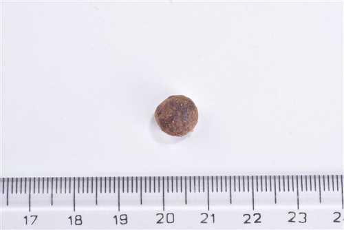 Brit Care Alerjileri Olan Yetişkin Kediler İçin, Tahılsız, Hipoalerjenik, Larva Ve Taze Ringa Balıklı Kuru Mama 7 kg