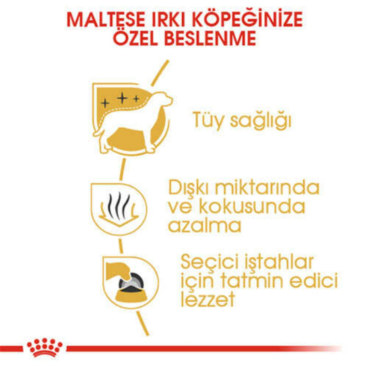 Royal Canin Maltese Yetişkin Köpek Maması 1,5 Kg