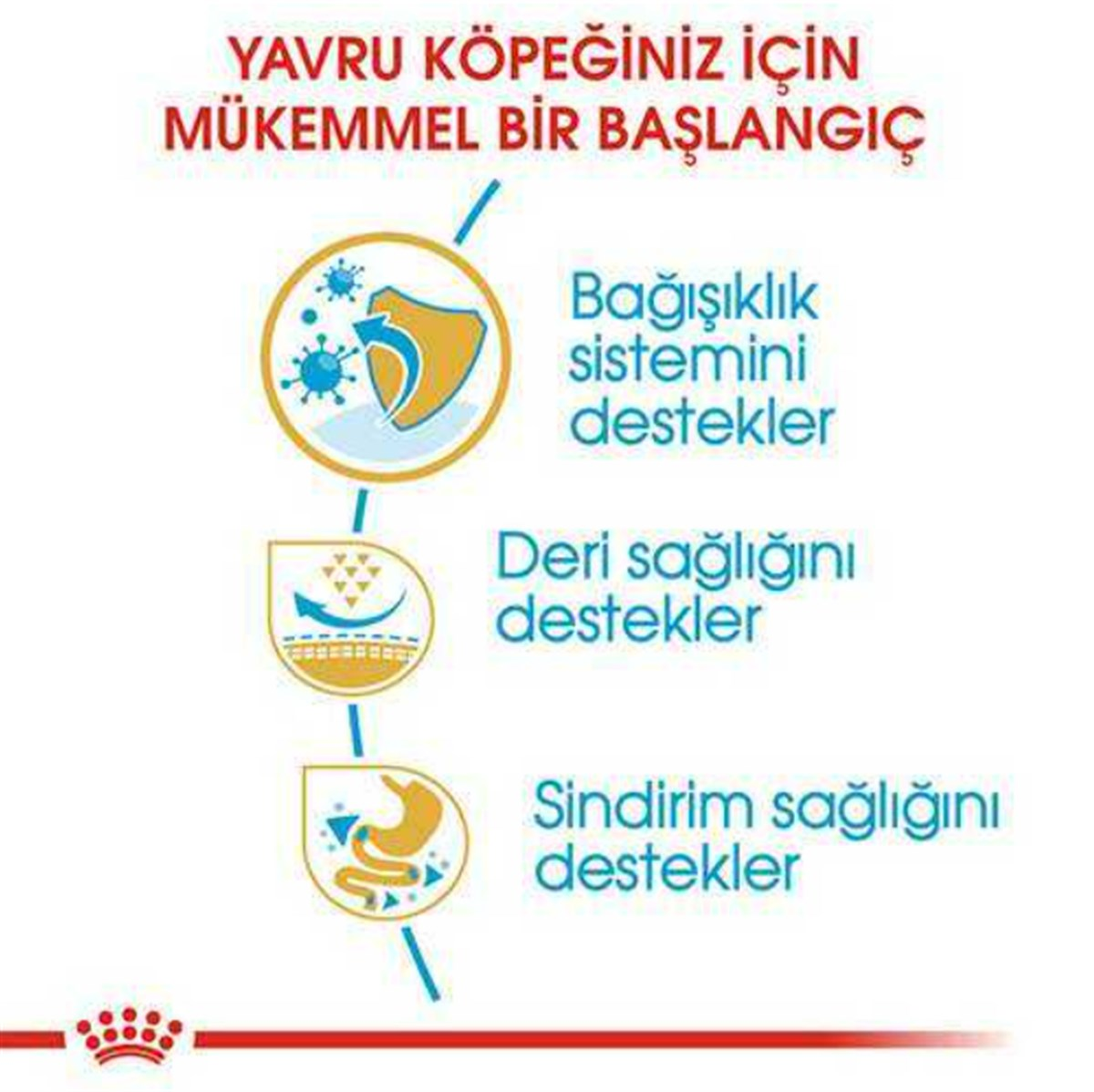 Royal Canin Pug Yetişkin Kuru Köpek Maması 1,5 Kg