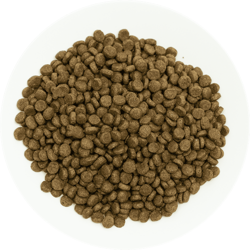 Prochoice Yavru Köpekler İçin, Hipoalerjenik, Kuzu Etli Ve Pirinçli Kuru Mama 3 kg