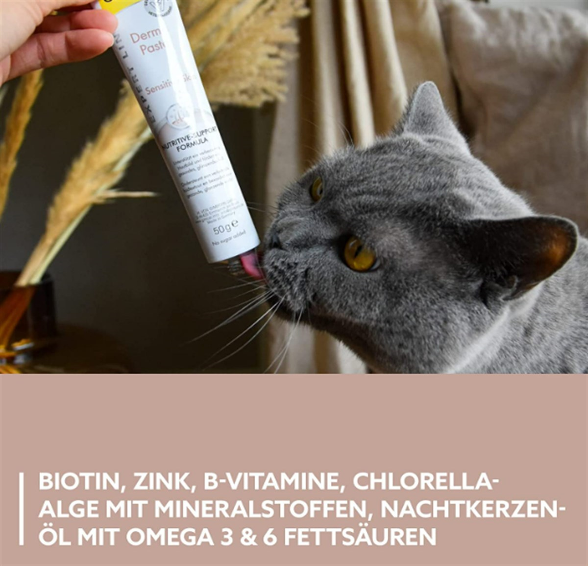 Gimcat Kedi Macunu Derma Paste 50 Gr